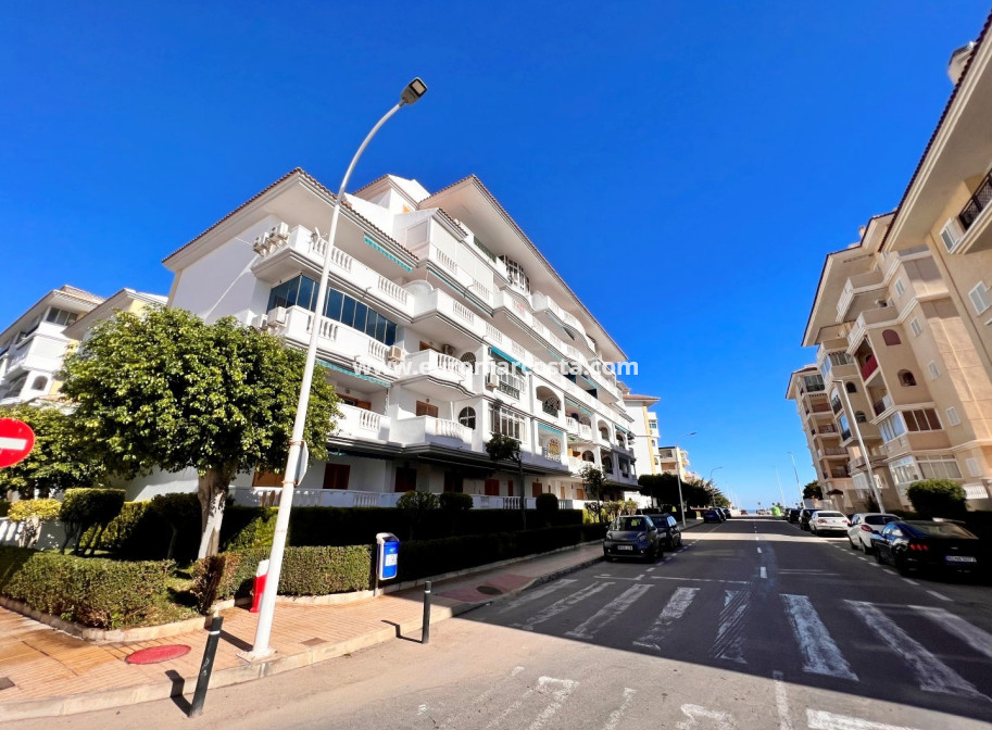 Venta - Apartamento / piso - La Mata