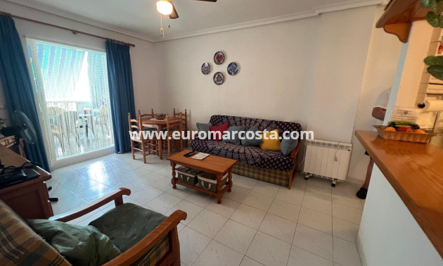 Venta - Apartamento / piso - La Mata