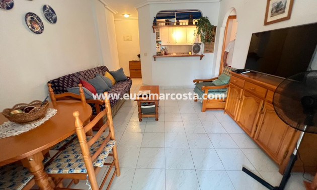 Venta - Apartamento / piso - La Mata
