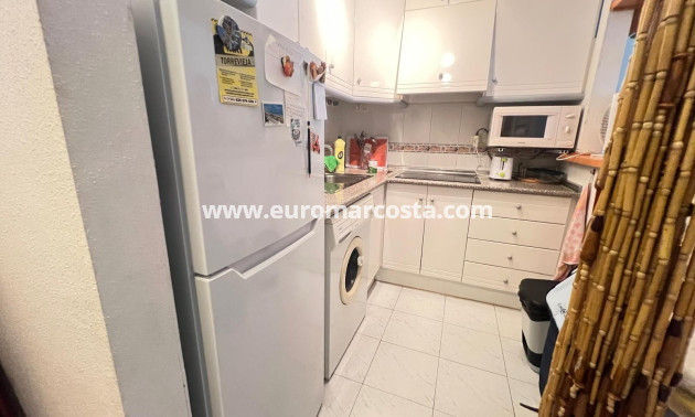 Venta - Apartamento / piso - La Mata