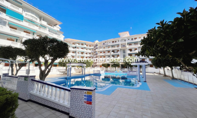 Venta - Apartamento / piso - La Mata