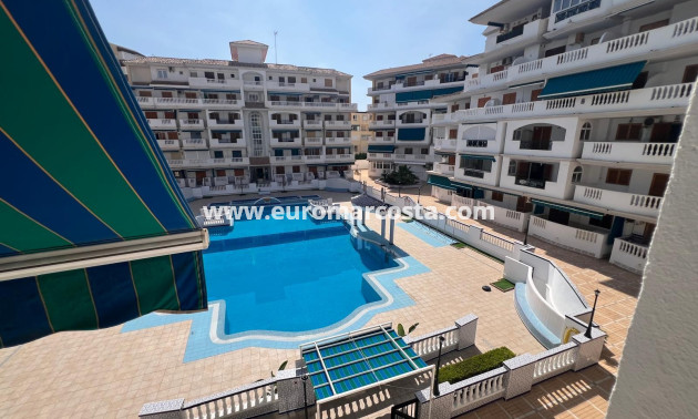 Venta - Apartamento / piso - La Mata