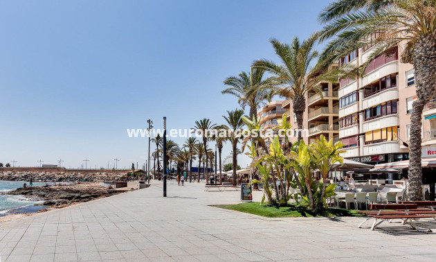 Venta - Apartamento / piso - Torrevieja - Piscinas naturales