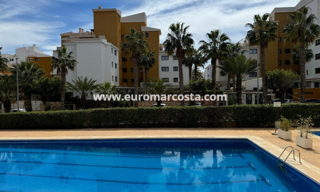 Sale - Apartment / flat - Torrevieja - TORREVIEJA