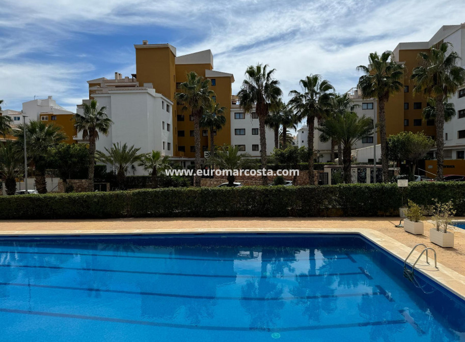 Sale - Apartment / flat - Torrevieja - TORREVIEJA