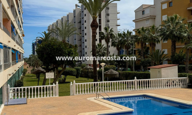 Sale - Apartment / flat - Torrevieja - TORREVIEJA
