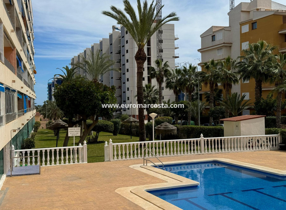 Sale - Apartment / flat - Torrevieja - TORREVIEJA
