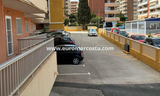 Sale - Apartment / flat - Torrevieja - TORREVIEJA