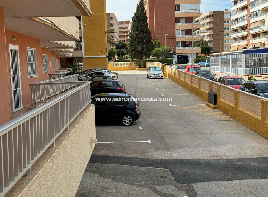 Sale - Apartment / flat - Torrevieja - TORREVIEJA