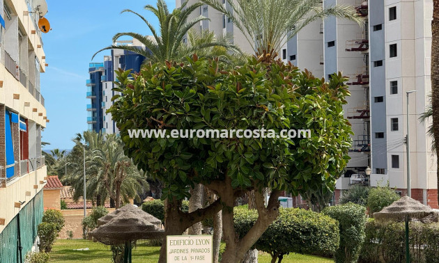 Sale - Apartment / flat - Torrevieja - TORREVIEJA