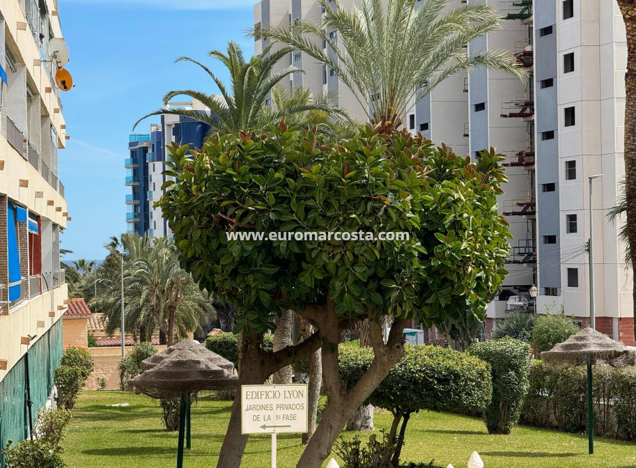 Sale - Apartment / flat - Torrevieja - TORREVIEJA