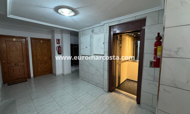 Venta - Ático - Torrevieja - TORREVIEJA