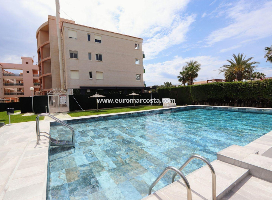Venta - Apartamento / piso - Torrevieja - Playa Flamenca