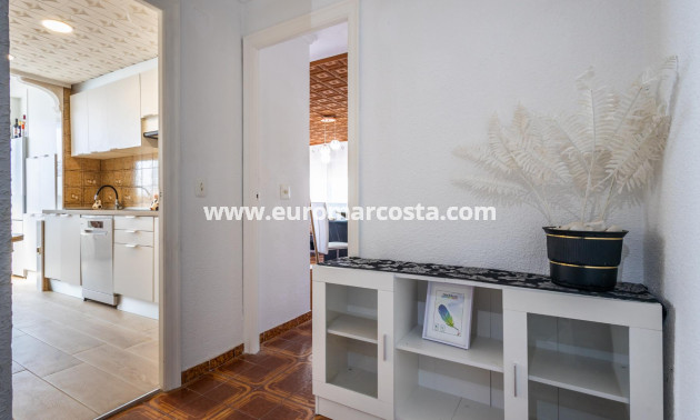 Venta - Apartamento / piso - Torrevieja - TORREVIEJA