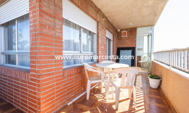 Venta - Apartamento / piso - Torrevieja - TORREVIEJA
