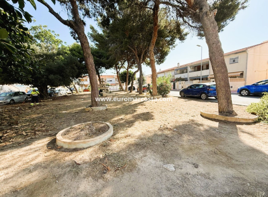 Sale - Bungalow Planta Baja - Torrevieja - TORREVIEJA