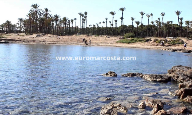 Sale - Bungalow Planta Baja - Torrevieja - TORREVIEJA