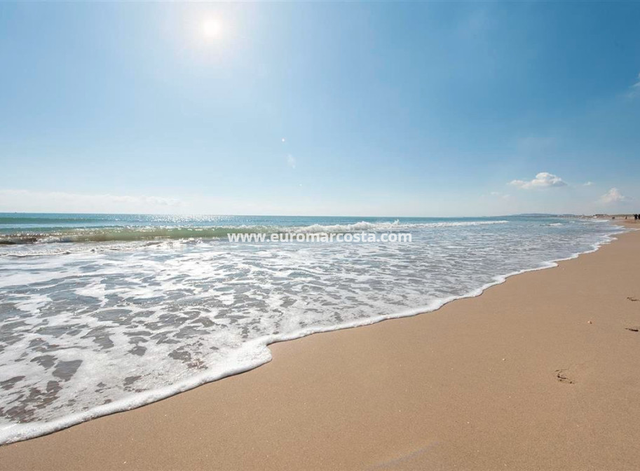 Venta - Apartamento / piso - Guardamar del Segura - Puerto Deportivo