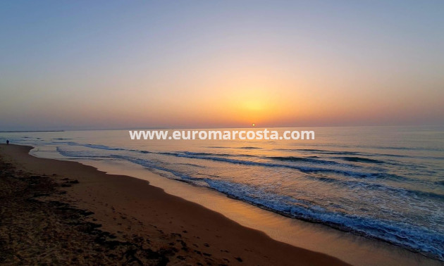 Venta - Apartamento / piso - Guardamar del Segura - Puerto Deportivo