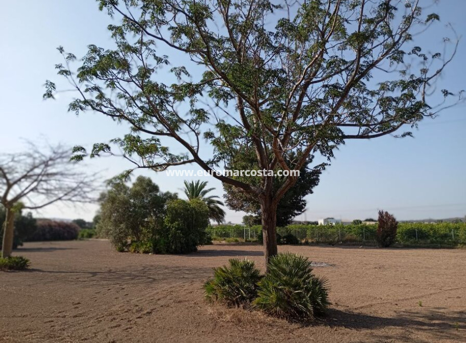 Sale - Country house - Daya Nueva