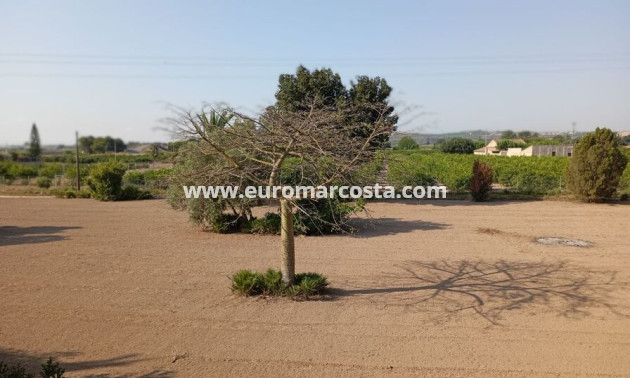 Sale - Country house - Daya Nueva