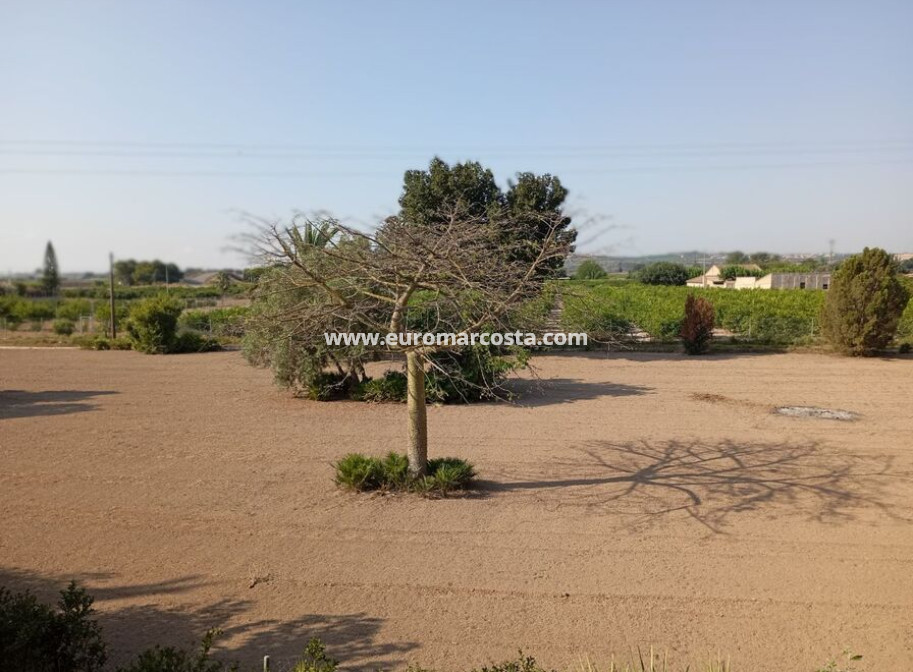 Sale - Country house - Daya Nueva