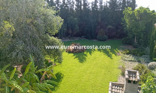Sale - Country house - Daya Nueva