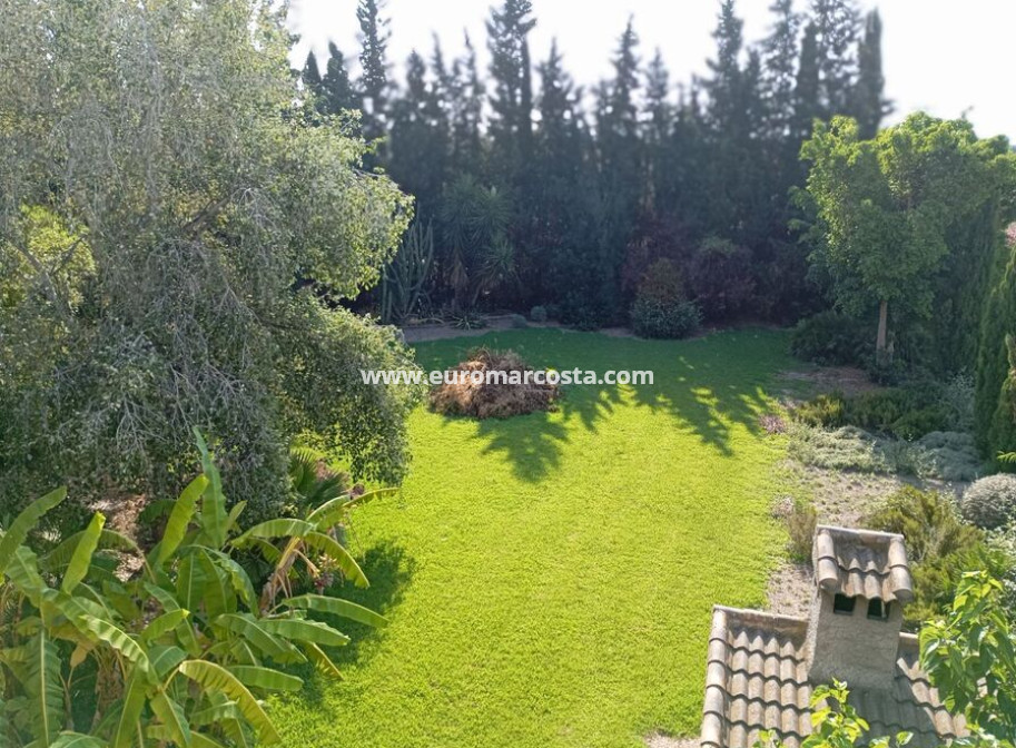 Sale - Country house - Daya Nueva