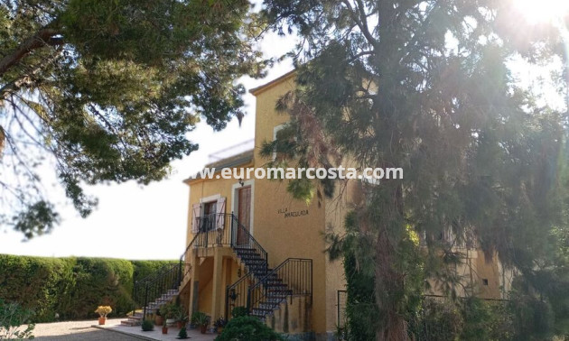Sale - Country house - Daya Nueva