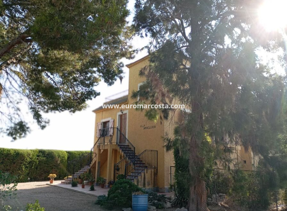 Sale - Country house - Daya Nueva