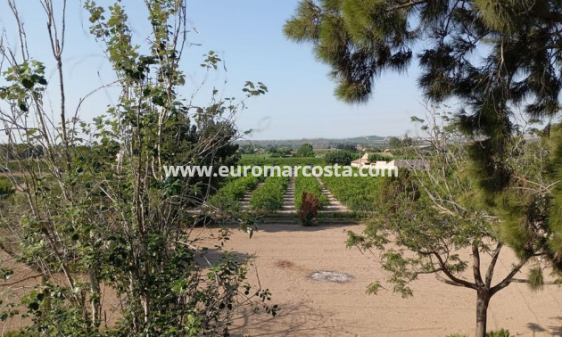 Sale - Country house - Daya Nueva