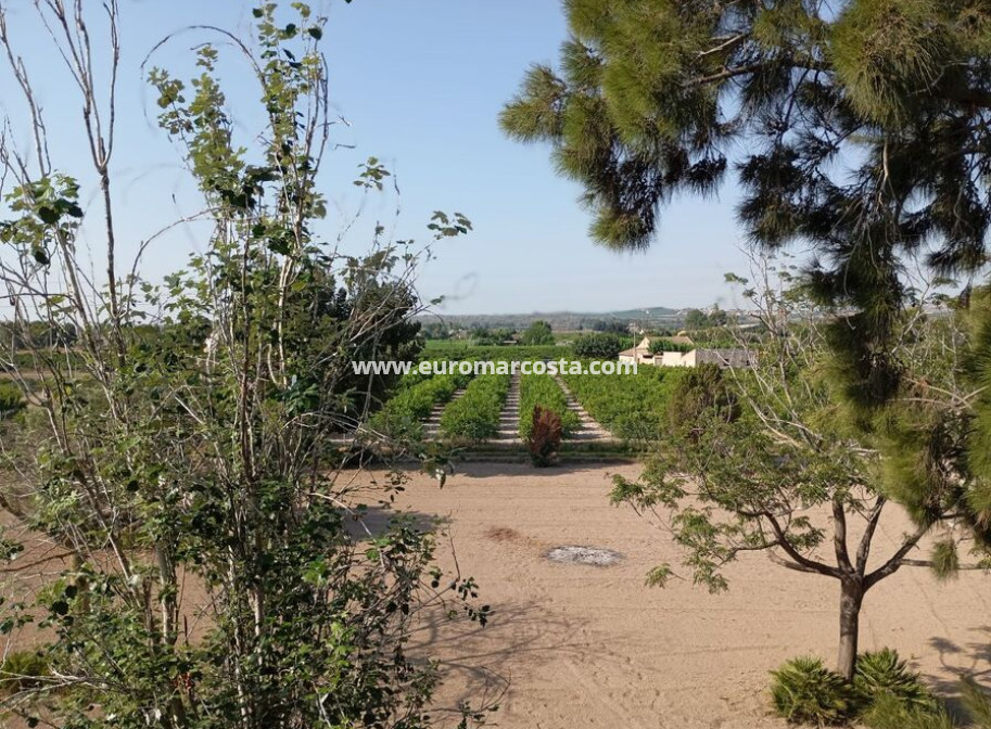 Sale - Country house - Daya Nueva