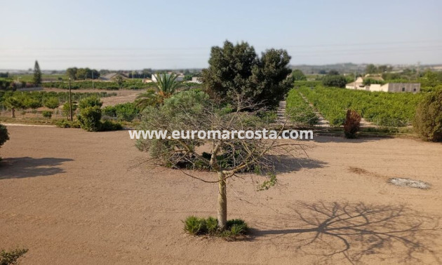 Sale - Country house - Daya Nueva
