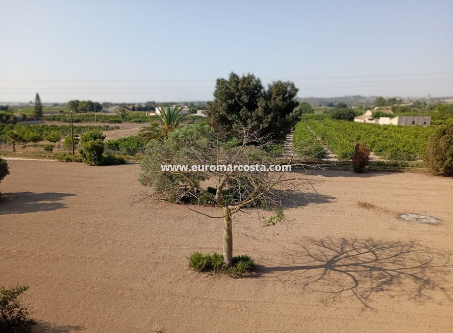 Sale - Country house - Daya Nueva