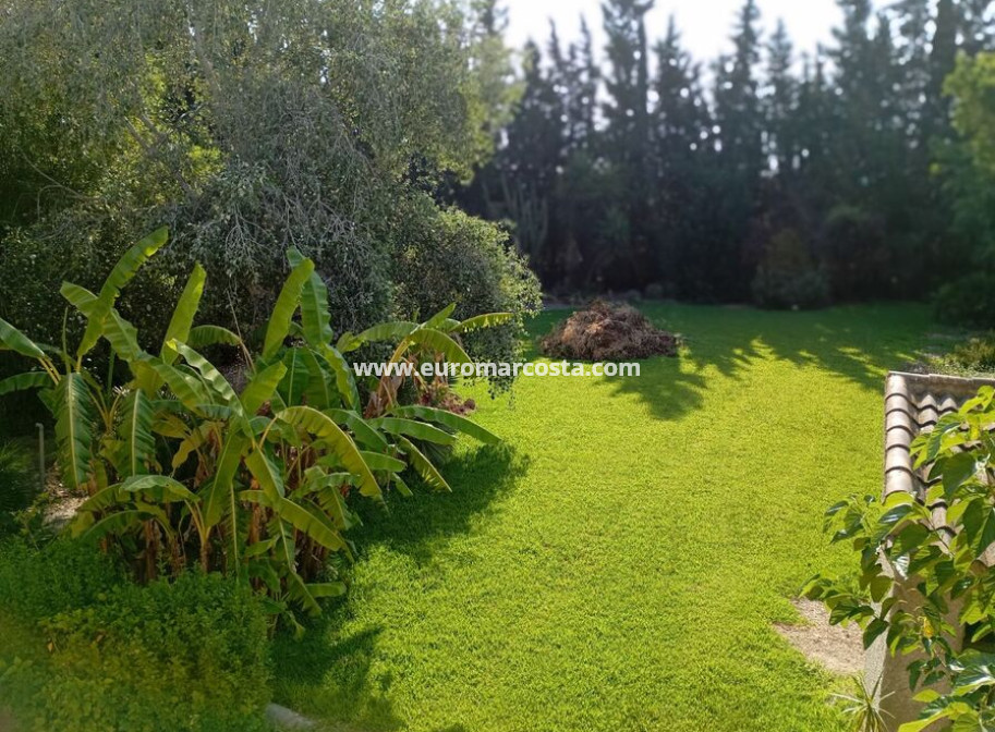 Sale - Country house - Daya Nueva