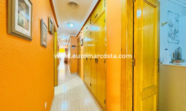 Venta - Apartamento / piso - La Mata