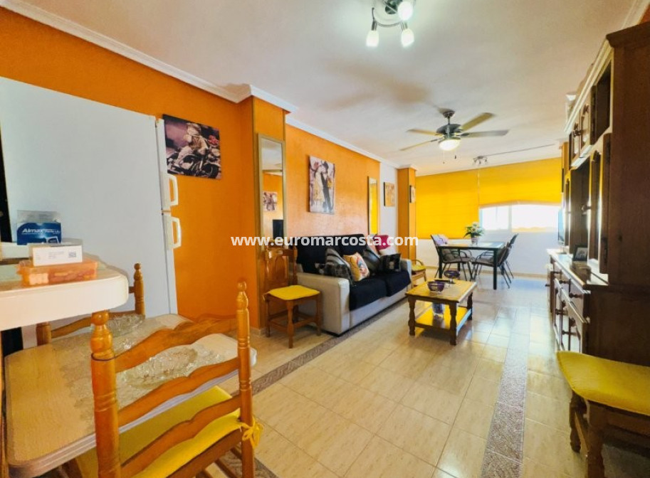 Venta - Apartamento / piso - La Mata