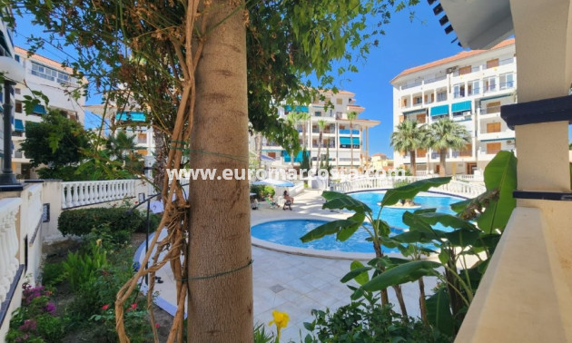 Objekte zum Wiederverkauf - Penthouse - La Mata