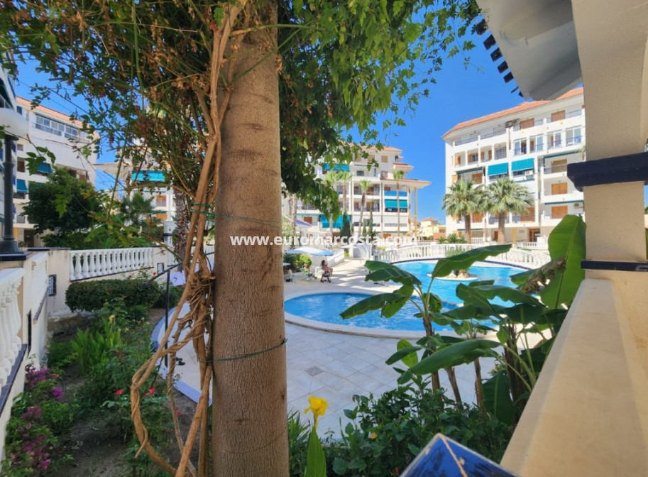 Objekte zum Wiederverkauf - Penthouse - La Mata
