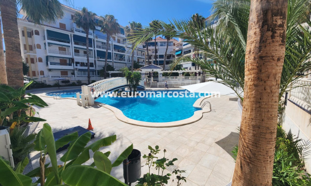 Objekte zum Wiederverkauf - Penthouse - La Mata