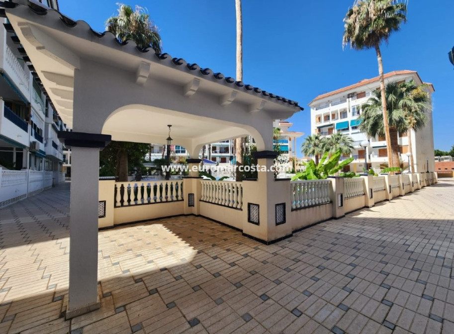 Objekte zum Wiederverkauf - Penthouse - La Mata