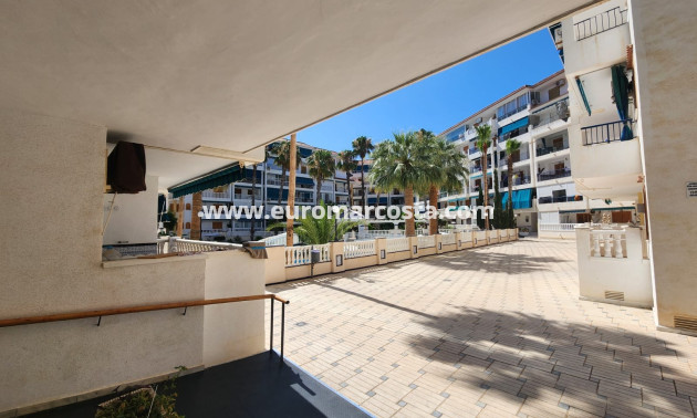 Objekte zum Wiederverkauf - Penthouse - La Mata