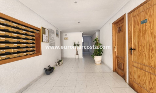 Objekte zum Wiederverkauf - Penthouse - La Mata