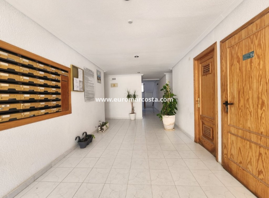 Objekte zum Wiederverkauf - Penthouse - La Mata