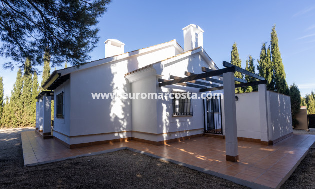 New Build - detached - Fuente Álamo de Murcia - Murcia