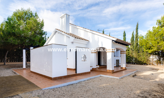 New Build - detached - Fuente Álamo de Murcia - Murcia