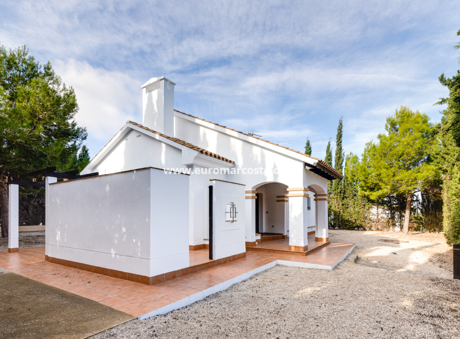 New Build - detached - Fuente Álamo de Murcia - Murcia