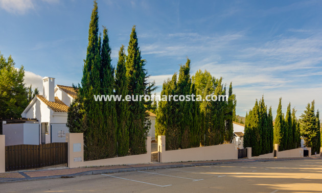 Nueva construcción  - detached - Fuente Álamo de Murcia - Murcia