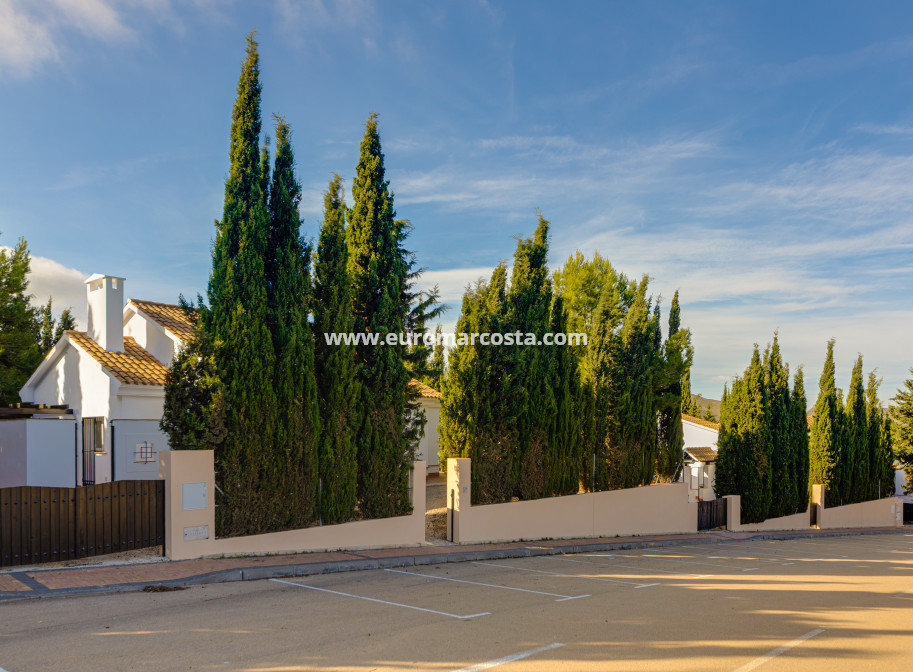New Build - detached - Fuente Álamo de Murcia - Murcia