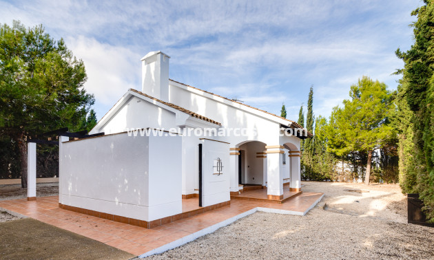 New Build - detached - Fuente Álamo de Murcia - Murcia